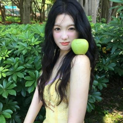 狗狗的疯狂假期
